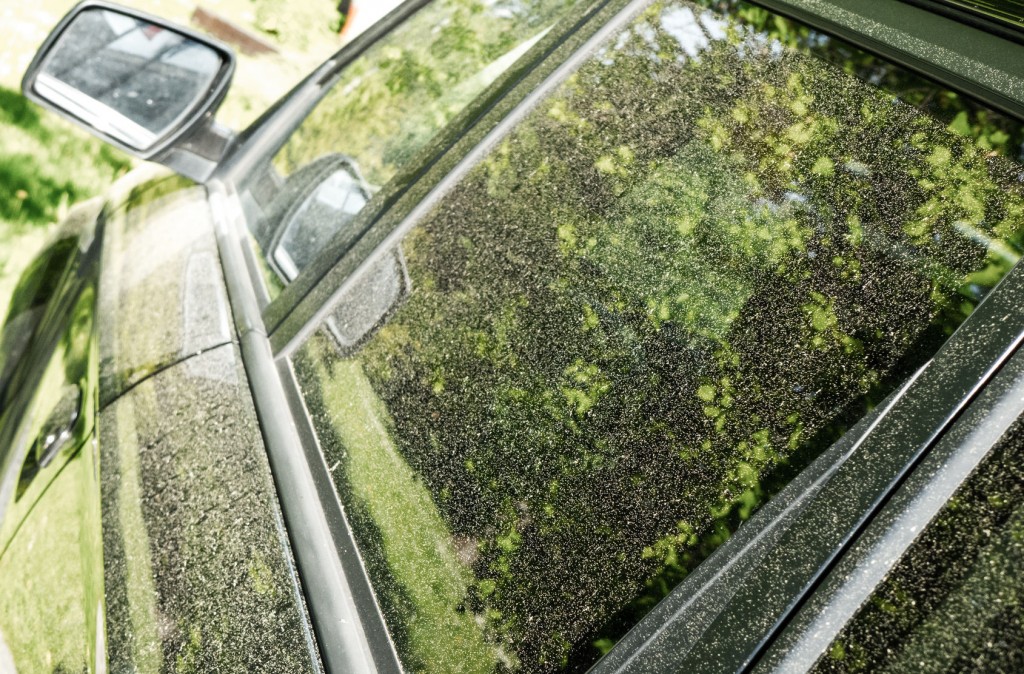 Pollen and your car